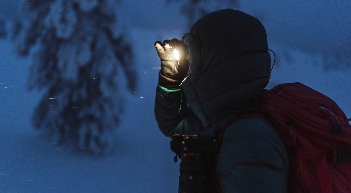 Coon Hunting Lights Can Improve Your Hunting Experience