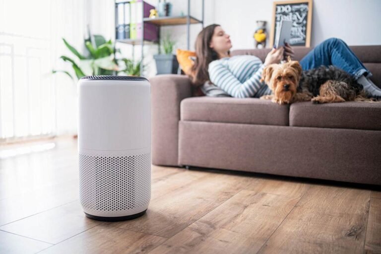 HoMedics Air Purifier Red Light Blinking: How To Fix It 2023