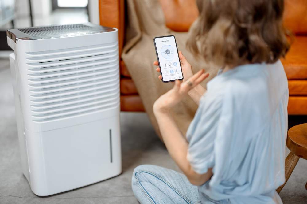 Are Air Purifiers a Waste of Money?