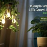 3 Simple Ways To Use LED Grow Light Bulbs For Indoor Plants