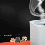 Do Air Purifiers Help with Smell