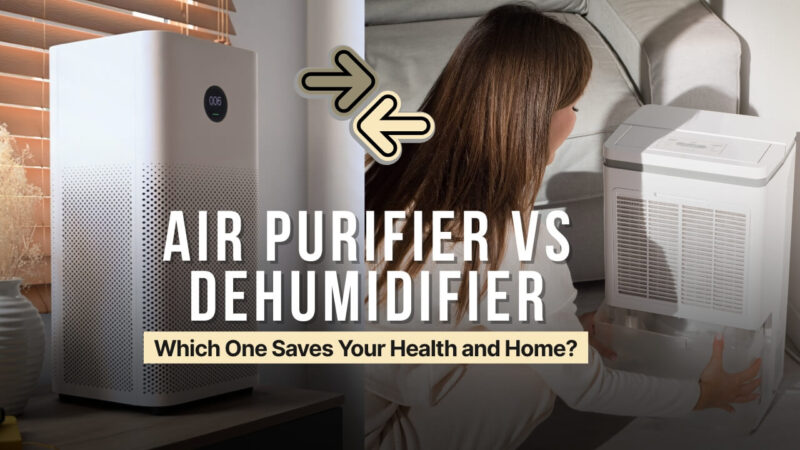 Air Purifier vs Dehumidifier