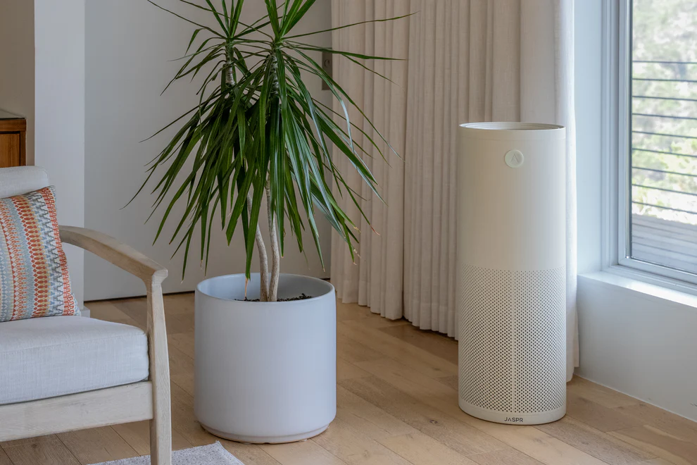 unplug-jasper air purifier